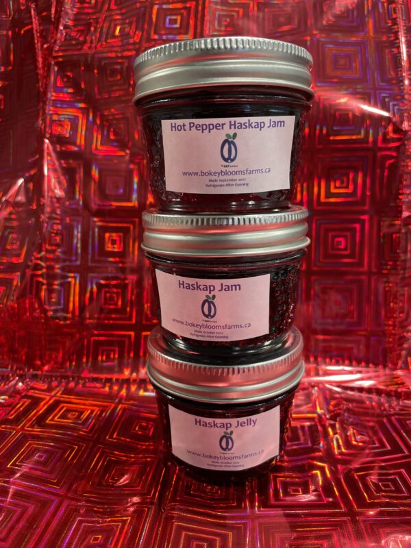 Jars of Prairie Hill Haskap Jelly, Haskap Jam, and Hot Haskap Jam, each priced at $7.50